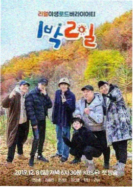 91影视音乐之声